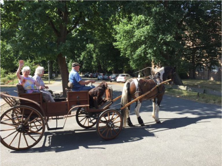 Bewohnerinnen genießen die Pferdekutschfahrt