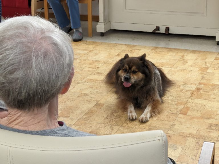 Bewohnerin mit Hund