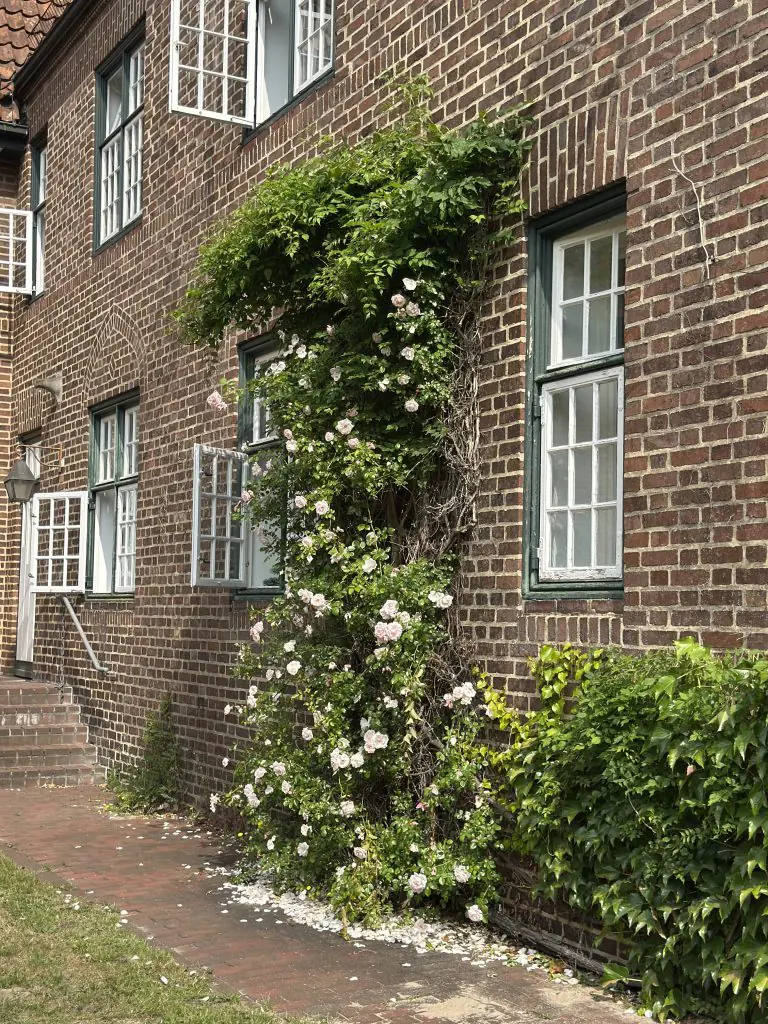 Außenansicht eines Gebäudes der Egestorff-Stiftung